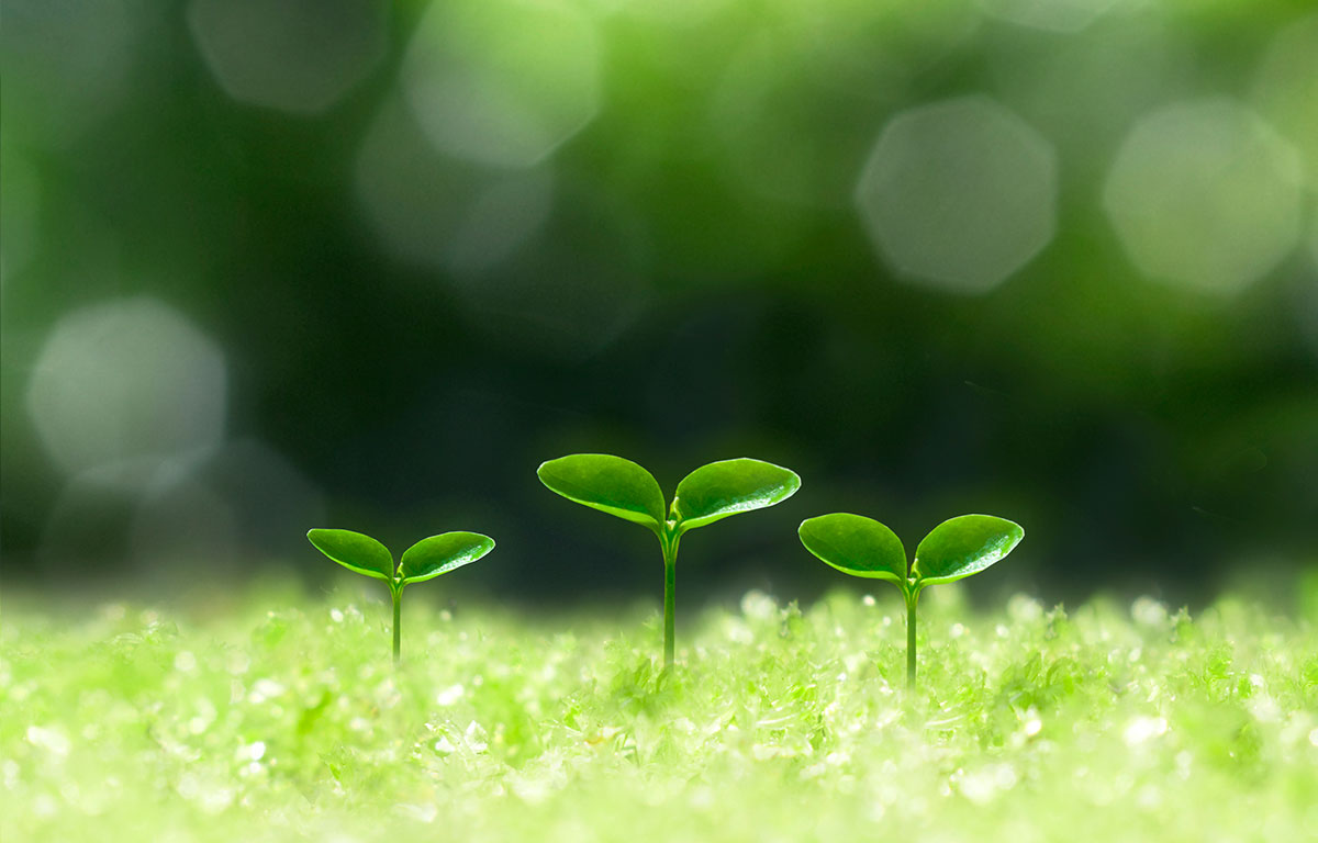 家族みんなの歯を守る街のやさしい歯医者さん